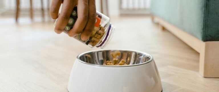 Pet Food Red Flags & Healthier Picks