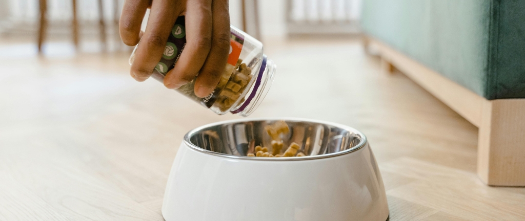 Pet Food Red Flags & Healthier Picks